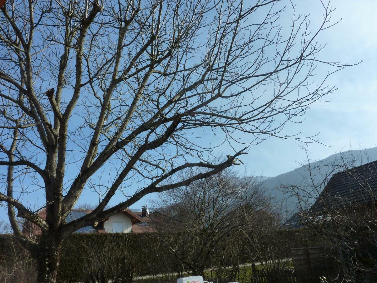Studio 30 M2 Jardinet 10Minutes Annecy Villa Naves-Parmelan Exteriör bild